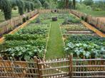 Je cherche terrain ou jardin pour créer un potager familial.