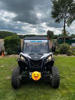 Buggy Can Am, 2 cilinders, Meer dan 35 kW, 800 cc