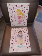 livre disney princesse, Ophalen, Zo goed als nieuw