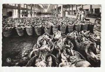 carte postale du marché aux poissons d'Ostende