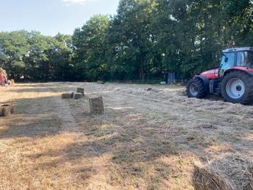 Hooi kleine pakken beschikbaar voor biedingen