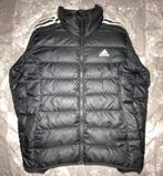 Zwart Adidas jack zonder capuchon, Maat 46 (S) of kleiner, Gedragen, Adidas, Zwart