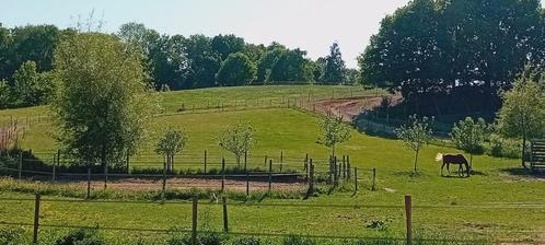1 plaats in Paddock Paradise bij Wavre, Dieren en Toebehoren, Stalling en Weidegang