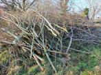brandhout, Tuin en Terras, Brandhout, Minder dan 3 m³, Ophalen, Overige houtsoorten, Takken