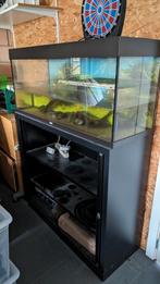 Aquarium voor waterschilpadden, Dieren en Toebehoren, Reptielen en Amfibieën | Toebehoren, Gebruikt, Ophalen