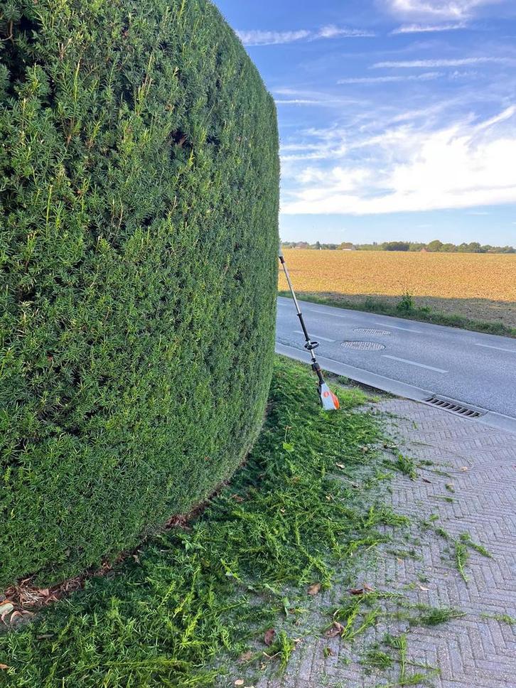 Klusjesman/Tuinman/Huishoudelijke Hulp!, Vacatures, Vacatures | Thuiswerk, Vanaf 5 jaar