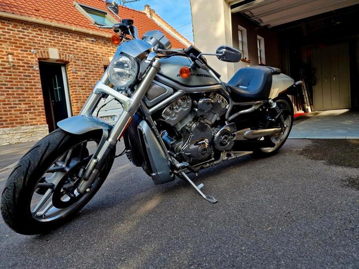Harley davidson Vrod 10th Anniversary 1250cm, Motoren, Motoren | Harley-Davidson, Ophalen