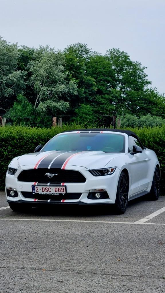 Ford Mustang Cabrio 2.3 EcoBoost met V8-SOUND!, Auto's, Ford, Particulier, Mustang, Achteruitrijcamera, Airbags, Airconditioning