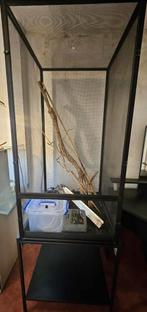 Flexarium 61x61x122cm, Dieren en Toebehoren, Reptielen en Amfibieën | Toebehoren, Ophalen