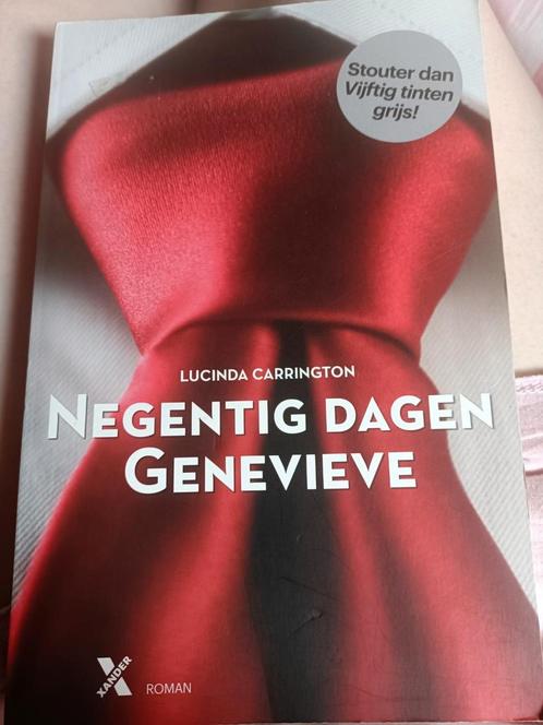 Lucinda Carrington - Negentig dagen Genevieve, Boeken, Romans, Zo goed als nieuw, Ophalen of Verzenden