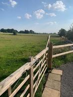 weidegang te huur, Weidegang, 4 paarden of pony's of meer