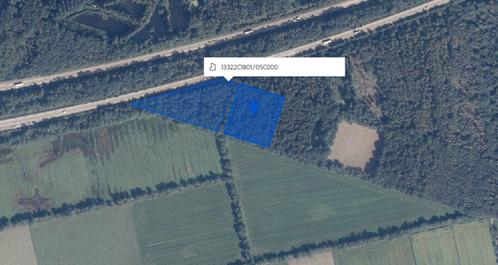 Bosgrond 19 199 ²m ,. Arendonk-Retie Prijs € 5,00 ²m., Immo, Gronden en Bouwgronden, 1500 m² of meer, Verkoop zonder makelaar
