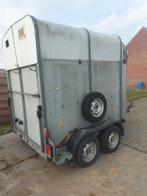 Paardentrailer Ifor Williams, Ophalen of Verzenden, Gebruikt, Overige materialen, 2-paards trailer