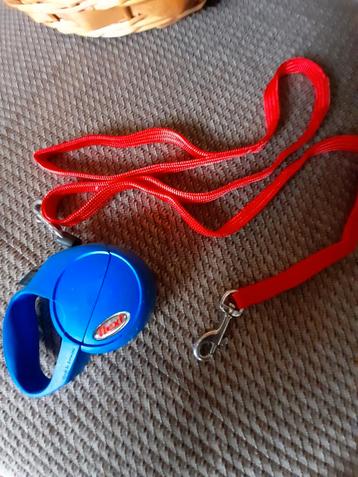 Leidbandjes voor katten , 2 stuks, amper gebruikt  beschikbaar voor biedingen