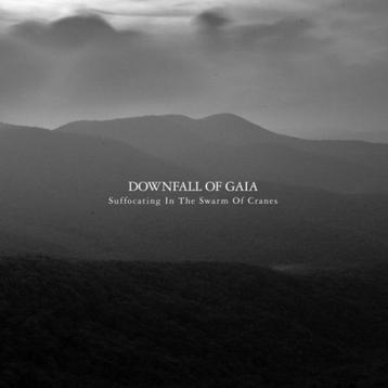 DOWNFALL OF GAIA - Suffocating In The Swarm Of Cranes (Clear beschikbaar voor biedingen