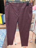 Geklede broek nieuw print terracota Natan mt 42, Enlèvement ou Envoi, Autres couleurs, Longs, Natan