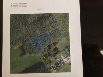 Bosgrond in Ham (afdeling Oostham ) € 6 m2 beschikbaar voor biedingen