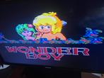 Sega TV Vintage Wonder Boy, Games en Spelcomputers, Master System, Met 2 controllers, Ophalen of Verzenden, Gebruikt