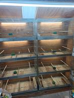 Draadkooien, Animaux & Accessoires, Oiseaux | Cages & Volières, Enlèvement