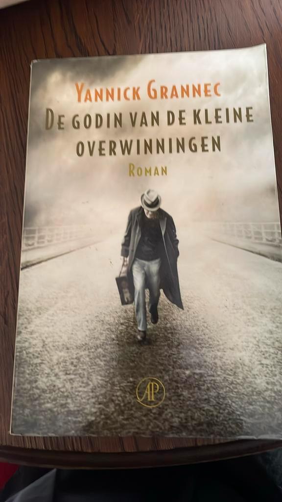 Yannick Grannec - De godin van de kleine overwinningen, Boeken, Literatuur, Zo goed als nieuw, Ophalen of Verzenden