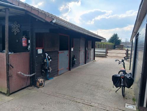 Stal te huur, Dieren en Toebehoren, Stalling en Weidegang, Stalling