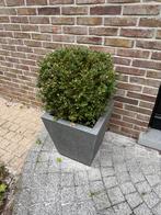 Granieten bloembakken, Ophalen