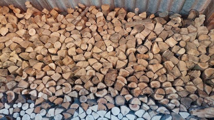 Brandhout eik droog te koop, Tuin en Terras, Brandhout, Ophalen