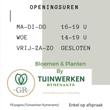 Bloemen & planten by Tuinwerken Rymenants beschikbaar voor biedingen