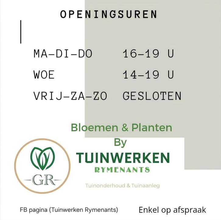 Bloemen & planten by Tuinwerken Rymenants, Tuin en Terras, Planten | Tuinplanten, Ophalen