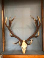 gewei, Antiek en Kunst, Ophalen of Verzenden