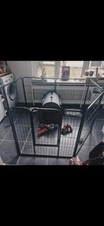 Puppyren uit metaal - 8 stukken, Dieren en Toebehoren, Hondenhokken, Ophalen, Zo goed als nieuw