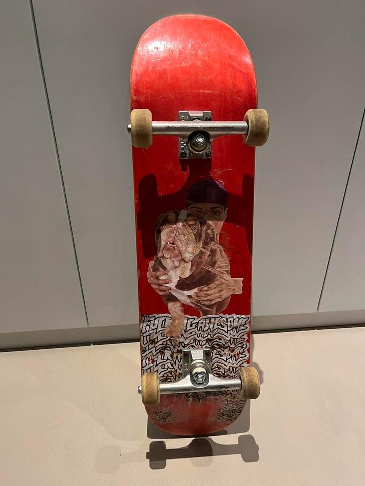 Skateboard van “fucking awsome”, Sport en Fitness, Skateboarden, Gebruikt, Skateboard, Ophalen