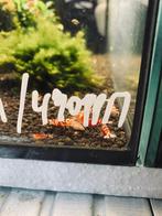 Caridina, Dieren en Toebehoren, Ophalen, Gebruikt