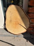 Berken houten schijf, Minder dan 25 mm, Overige typen, Nieuw, Ophalen of Verzenden
