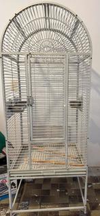 Vogelkooi, Dieren en Toebehoren, Ophalen, Gebruikt, Metaal, Vogelkooi