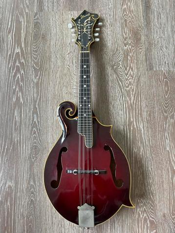 Ibanez mandoline 1976 F-style 