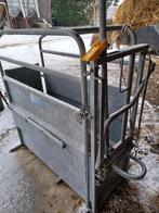 Cage écornage, Enlèvement