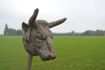 tête de vache en fonte, Enlèvement