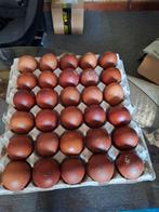 Broedeieren marans 1.50 euro  per eitje., Ophalen of Verzenden
