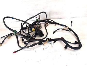 AN400 2001 - 2007 Suzuki Kabelboom Kabelboom hoofd D1-53154 beschikbaar voor biedingen