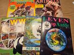 Panini albums dieren, natuur en dino's, Ophalen of Verzenden, Zo goed als nieuw, Meerdere stickers