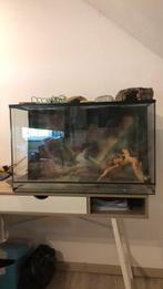 Terrarium+benodigdheden, Dieren en Toebehoren, Ophalen, Zo goed als nieuw