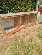 Vogel kooi, Dieren en Toebehoren, Ophalen, Zo goed als nieuw, Hout, Vogelkooi
