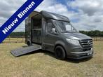 Mercedes-Benz Sprinter 314 2-paards paardenvrachtwagen B-rij, Gebruikt, Overige typen