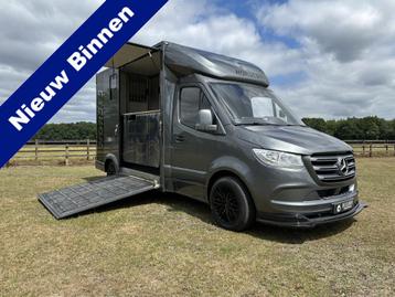 Mercedes-Benz Sprinter 314 2-paards paardenvrachtwagen B-rij beschikbaar voor biedingen