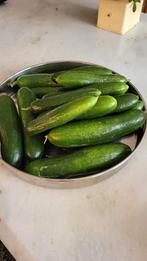 Bio komkommer zaden van Turkije (10 stuks voor 1 euro), Ophalen