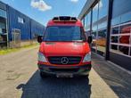 Mercedes-Benz Sprinter 516 CDI L3H2 Maxi Koelwagen Carrier P, Carnet d'entretien, 120 kW, Tissu, Achat