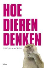 Te Koop Boek HOE DIEREN DENKEN Virginia Morell, Virginia Morell, Ophalen of Verzenden, Zo goed als nieuw, Overige diersoorten