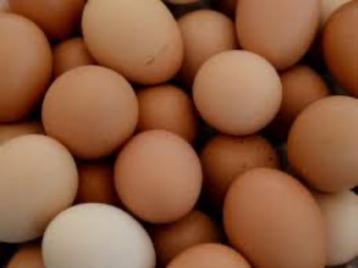 Oeufs frais (12 pour 3€), Divers, Enlèvement