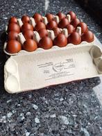 Broedeieren van marans tarwe